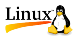 Linux server logo